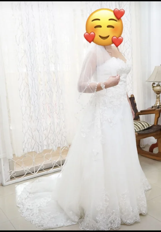 Get It Before It’s Gone David's Bridal Beaded lace and Tulle ball gown