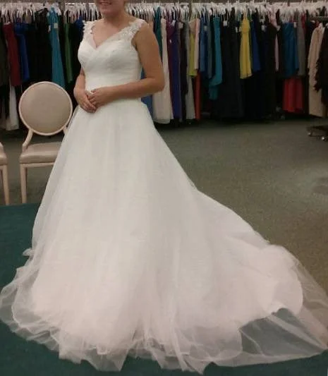 Lowest Price David's Bridal Ball Gown with ten foot train
